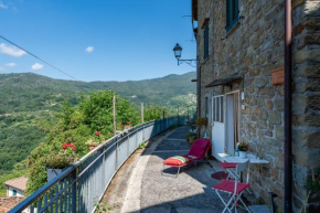 Le Corti